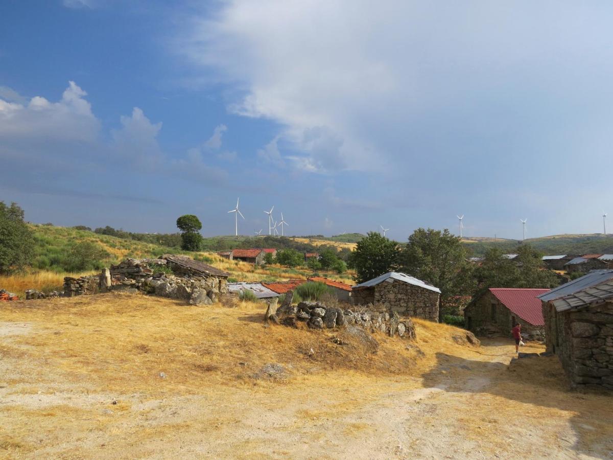 Comfortable Rural Cottage In Ancient Village In The Douro Region Viseu Exterior foto